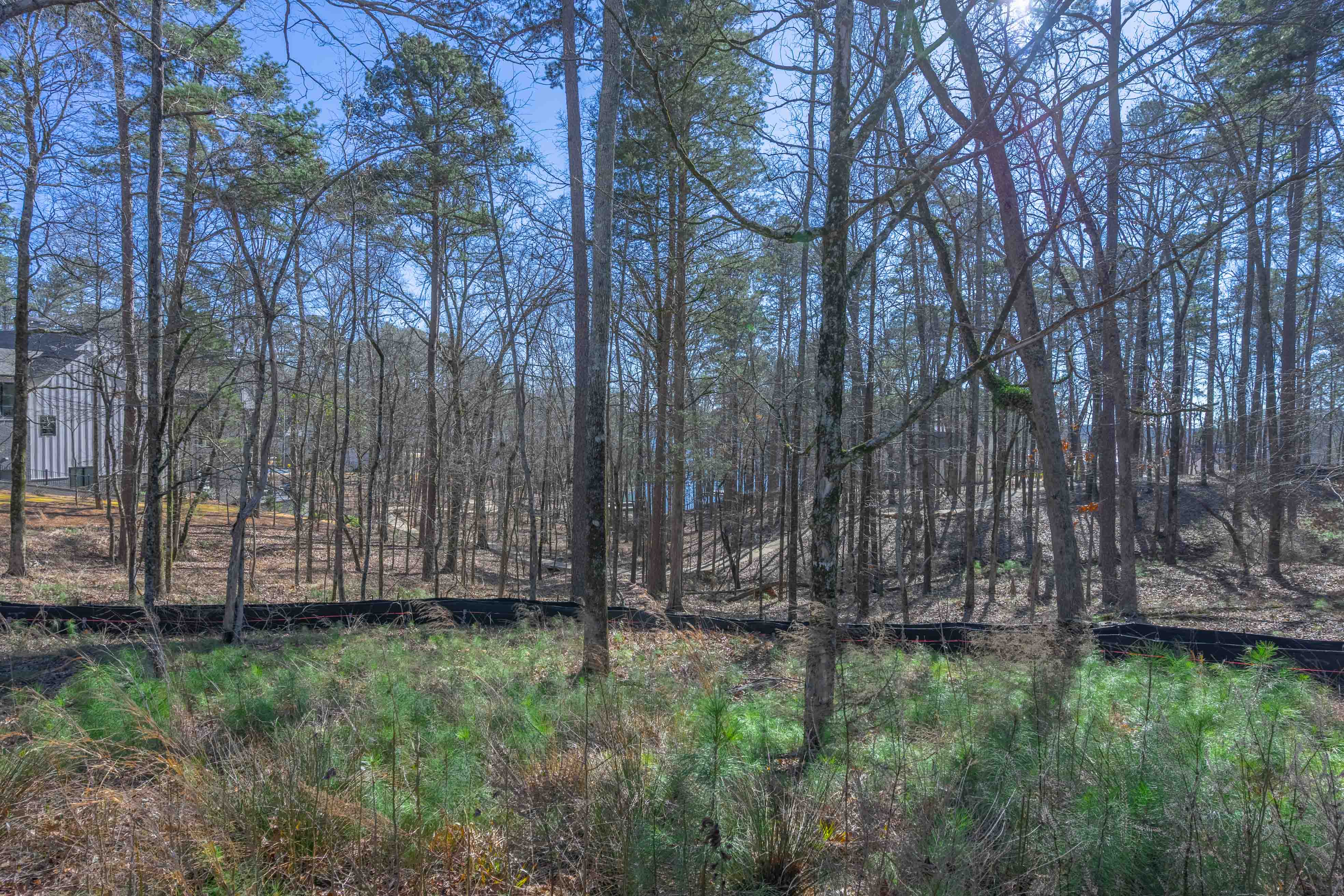 1261 Jumping Rock Drive image 5